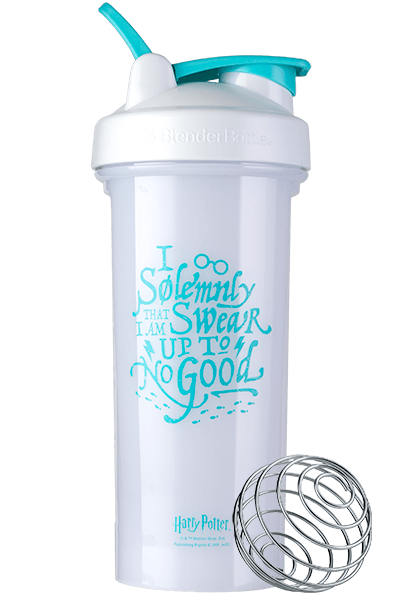 pro-series-v6 harry-potter-harry-potter-licensed-i-solemnly-swear-625653.png
